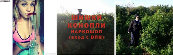 ГАЛЛЮЦИНОГЕННЫЕ ГРИБЫ Мегион