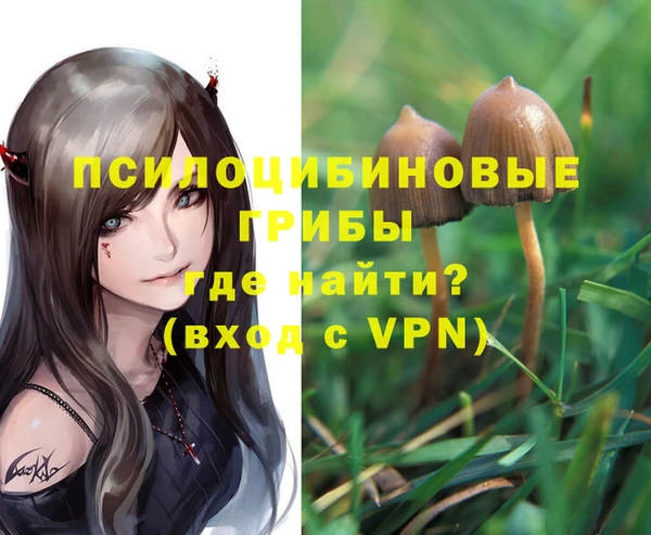 альфа пвп Магас
